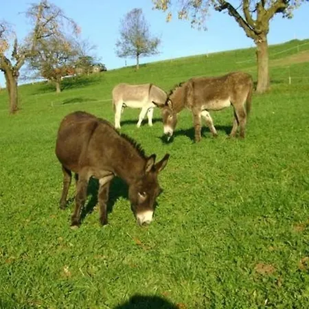 Bauernhof Baettwil Burgdorf