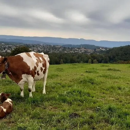 Bauernhof Baettwil *