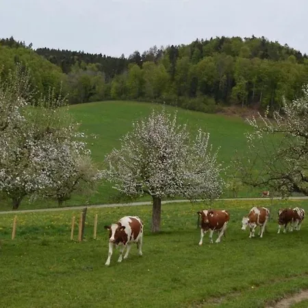 Bauernhof Baettwil *